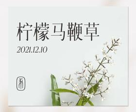 哪些闻起来很香的植物