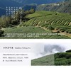 台湾高山茶杉林溪乌龙茶150g清香型轻发酵杉林高山乌龙茶叶 商品缩略图3
