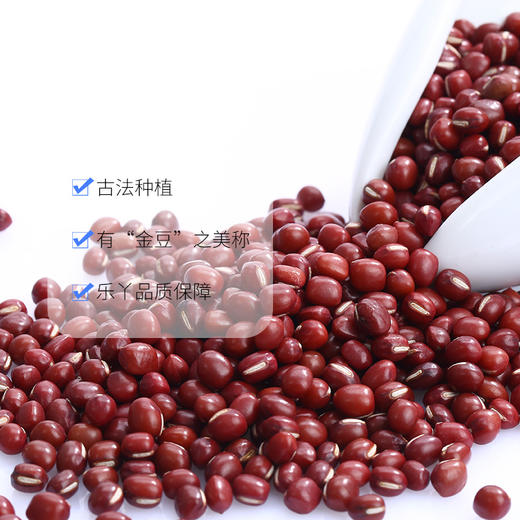 河北农家精品红小豆1.5公斤装 商品图2