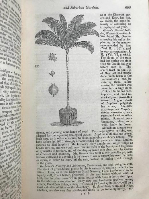 1831年 园丁杂志 近百幅版画插图 真皮精装大32开 商品图13