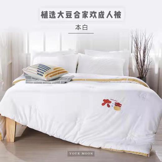 植选大豆合家欢成人被 商品图1
