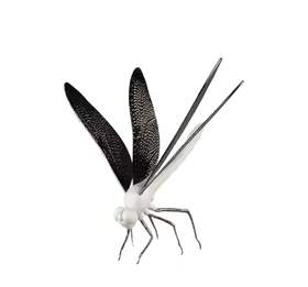 Dragon-fly-matte white（蜻蜓-哑光白色）