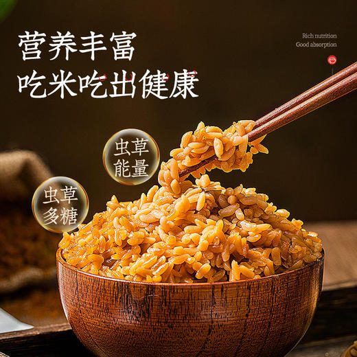 菌种培植 吃出健康的虫草养生米  300g/罐 商品图2