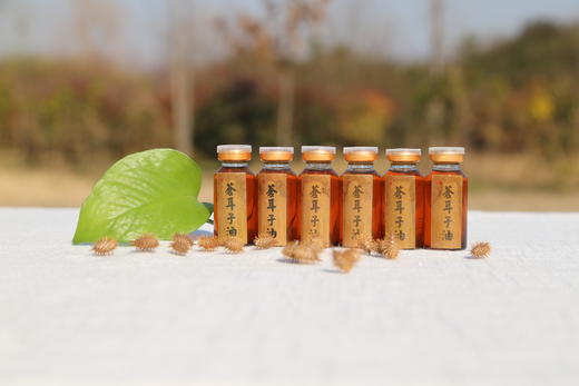 苍耳子油 商品图0