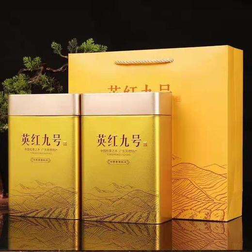 花香型英红九号金毛毫茶叶400g 商品图0