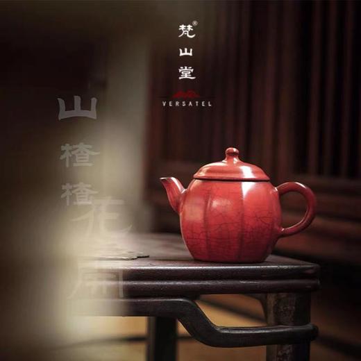 梵山堂陶壶泡茶小茶苏打釉家用温茶套装 便携煮茶壶 煮茶器 盖碗 商品图7
