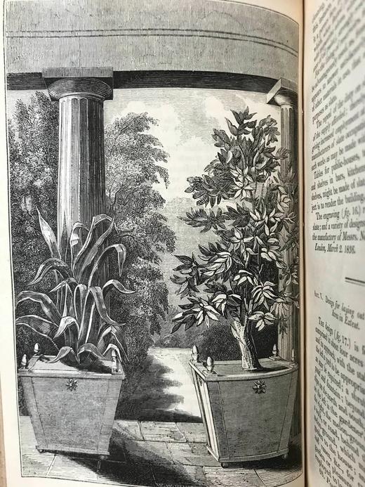 1840年 园丁杂志 近百幅版画插图 真皮精装大32开 商品图7