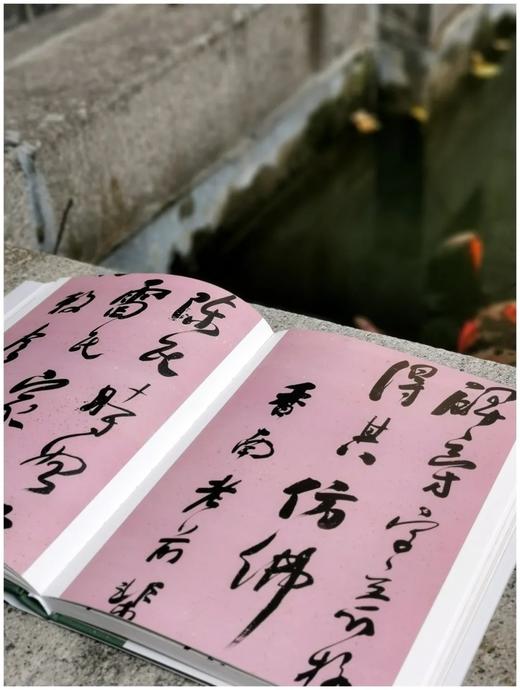 《何绍基书法精品集》，小8开，186页，杨亚东编著 商品图4