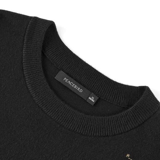 太平鸟男装 针织衫男修身潮流圆领毛套衫B1EBB4521 商品图2