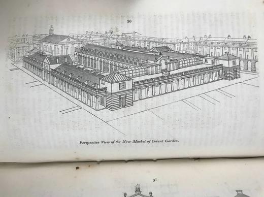 1831年 园丁杂志 近百幅版画插图 真皮精装大32开 商品图11
