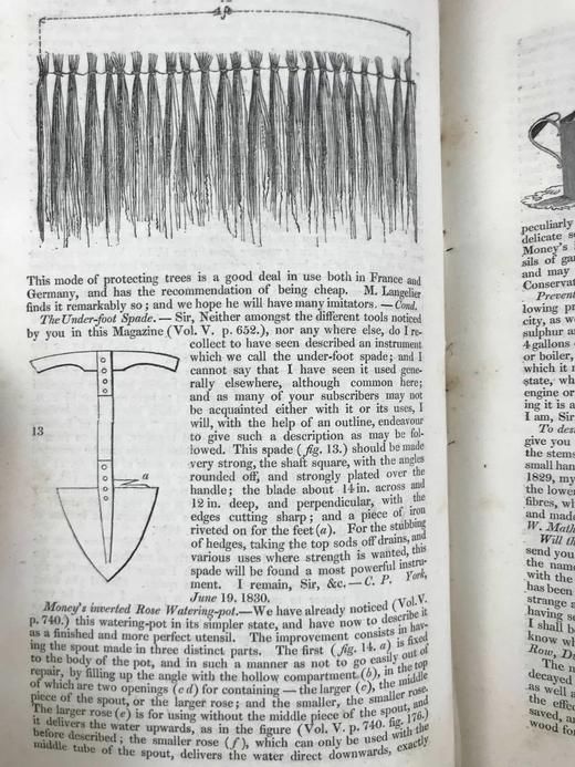 1831年 园丁杂志 近百幅版画插图 真皮精装大32开 商品图6