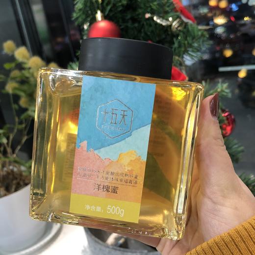 十五天洋槐蜜 成熟蜂蜜 商品图0
