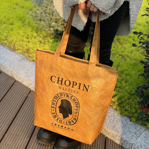 原创杜邦纸托特包 肖邦款 乐海书情 商品图4