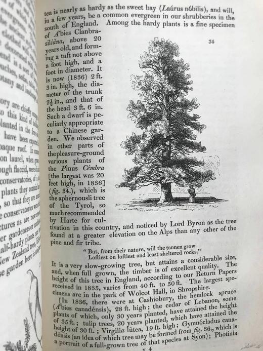 1840年 园丁杂志 近百幅版画插图 真皮精装大32开 商品图12