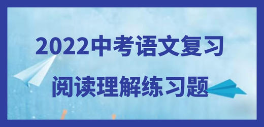 2022中考语文复习：阅读理解练习题（4） 商品图0