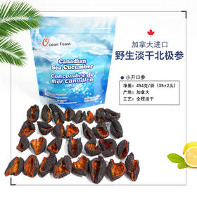 Ocean Feast 北极淡干海参【开口级35头左右/454g袋装】
