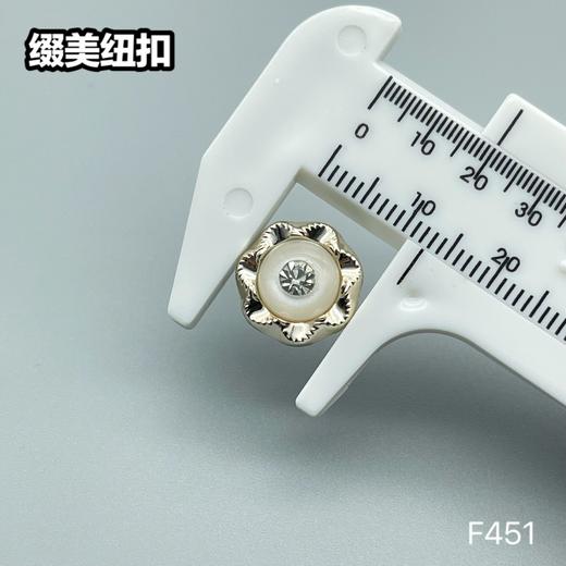 F451(整包购买) 商品图8