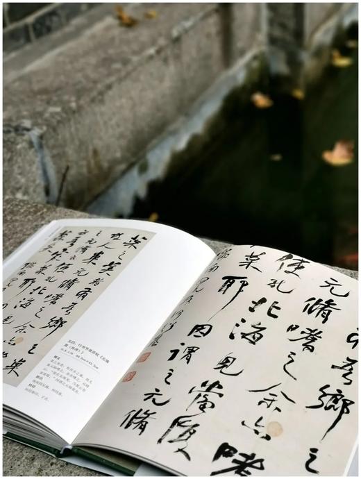 《何绍基书法精品集》，小8开，186页，杨亚东编著 商品图10