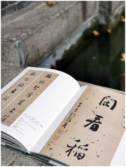 《何绍基书法精品集》，小8开，186页，杨亚东编著 商品图9