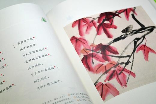 和孩子共读的国学启蒙（笠翁对韵+声律启蒙）套装共2册 商品图8