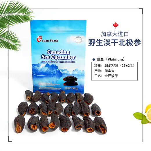 Ocean Feast 北极淡干海参【白金级25头左右/454g袋装】 商品图0