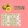 维C之王——猕猴桃🥝的食用功效和辨别方法 商品缩略图0