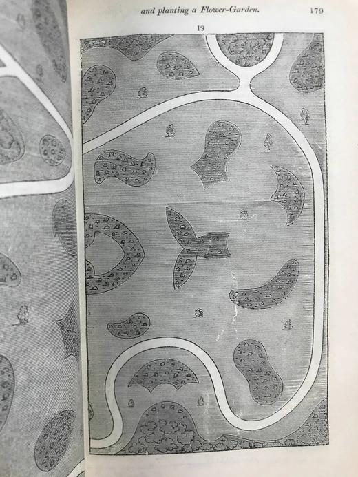 1840年 园丁杂志 近百幅版画插图 真皮精装大32开 商品图6
