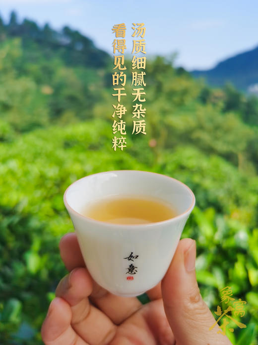 【象窝7号小茶饼象窝茶 陈香茶 2021年7号 三级生茶饼 生普洱茶 100克/饼 商品图5