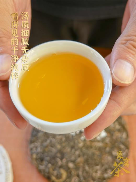 【象窝7号小茶饼象窝茶 陈香茶 2021年7号 三级生茶饼 生普洱茶 100克/饼 商品图2