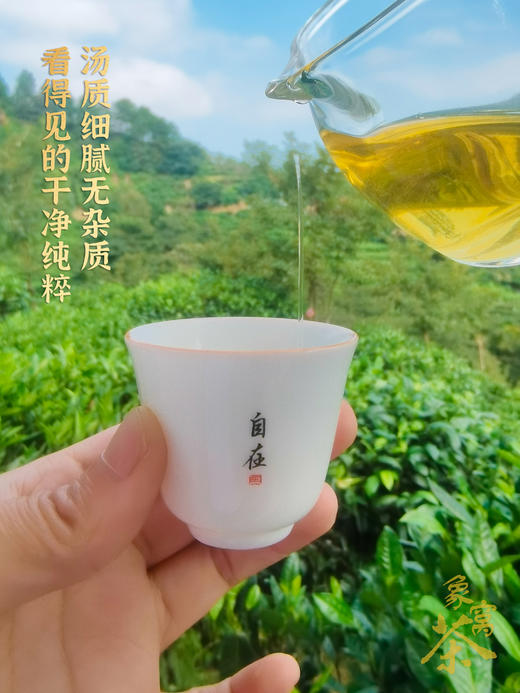 【象窝7号小茶饼象窝茶 陈香茶 2021年7号 三级生茶饼 生普洱茶 100克/饼 商品图4