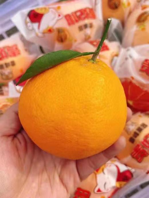 【雷锋耙耙柑】5斤/箱，入口爆汁，老少皆宜 商品图2