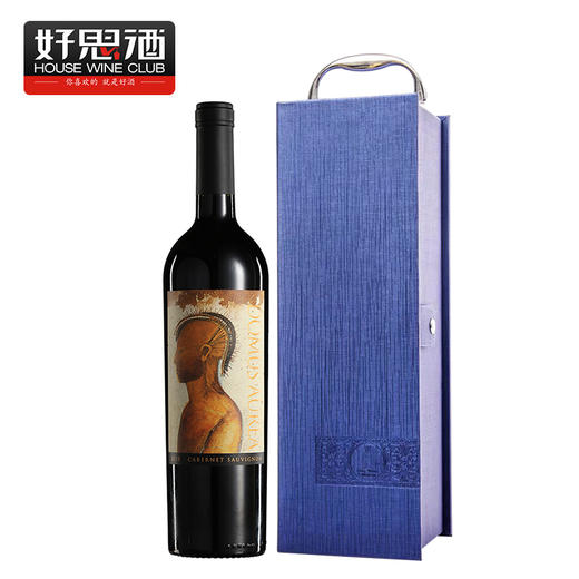 金色圣殿红酒Domus Aurea车库酒智利红酒原瓶原装进口干红葡萄酒 商品图0