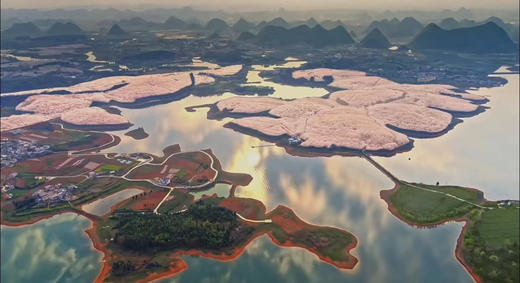 贵州万亩樱花、“中国溶洞之王”织金洞、“世遗”赤水丹霞瀑布群、“世界丹霞之冠”佛光岩、国酒文化茅台古镇8天纯玩团 商品图3