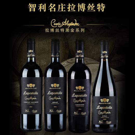 拉博丝特红酒智利十八罗汉原瓶进口lapostolle黑金干红葡萄酒开门红双支礼盒装750ml*2（口味备注或联系客服） 商品图10
