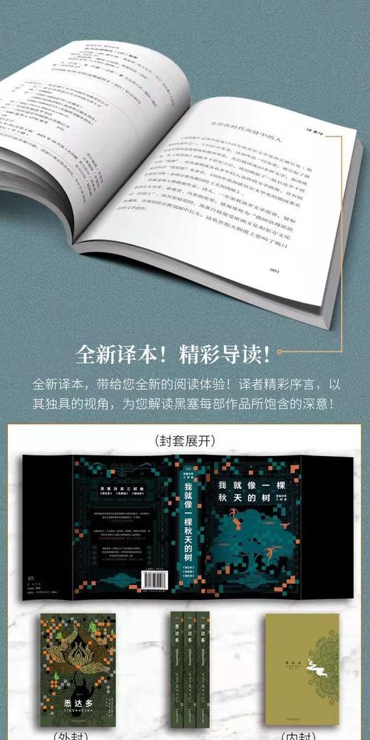 《我就像一颗秋天的树：黑塞诗意三部曲》 商品图5