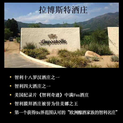 拉博丝特红酒智利十八罗汉原瓶进口lapostolle黑金干红葡萄酒开门红双支礼盒装750ml*2（口味备注或联系客服） 商品图1