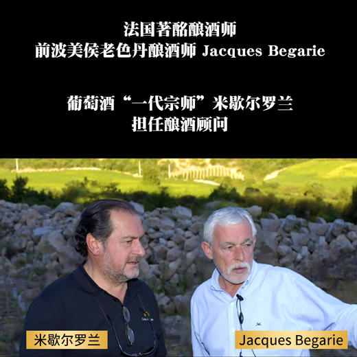 拉博丝特红酒智利十八罗汉原瓶进口lapostolle黑金干红葡萄酒开门红双支礼盒装750ml*2（口味备注或联系客服） 商品图3