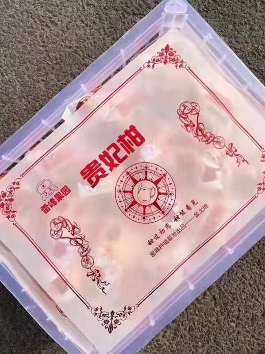 【雷锋耙耙柑】5斤/箱，入口爆汁，老少皆宜 商品图4