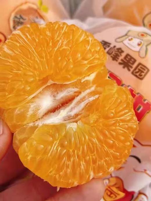 【雷锋耙耙柑】5斤/箱，入口爆汁，老少皆宜 商品图1