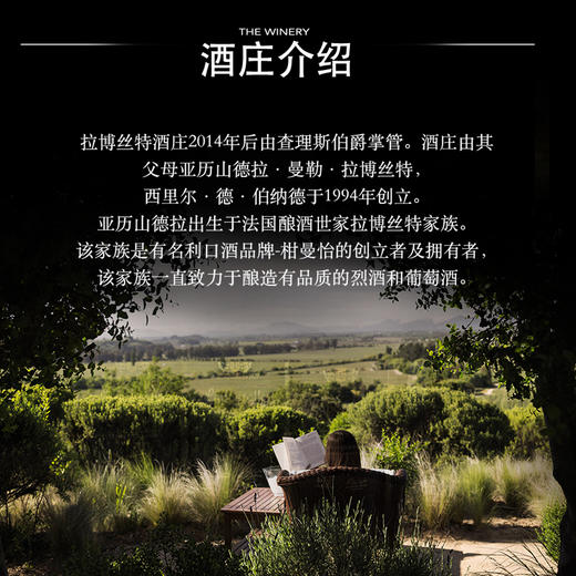 拉博丝特红酒智利十八罗汉原瓶进口lapostolle黑金干红葡萄酒开门红双支礼盒装750ml*2（口味备注或联系客服） 商品图9