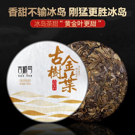 领券下单 拍2发3！吉顺号 2016年《古树金叶》冰岛坝歪古树黄金叶生茶200g 商品图2