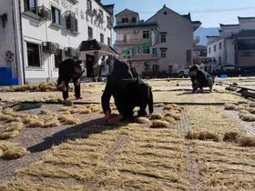 【湖源乡小英土特产】非遗美味 番薯粉丝 1斤