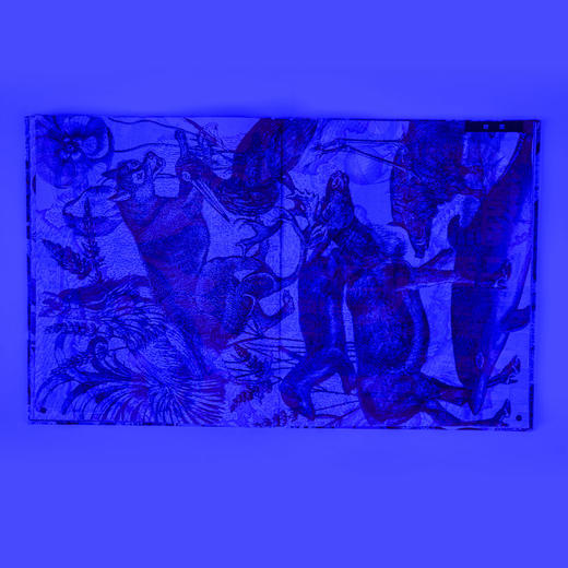 【常爸专属】发现世界 商品图2