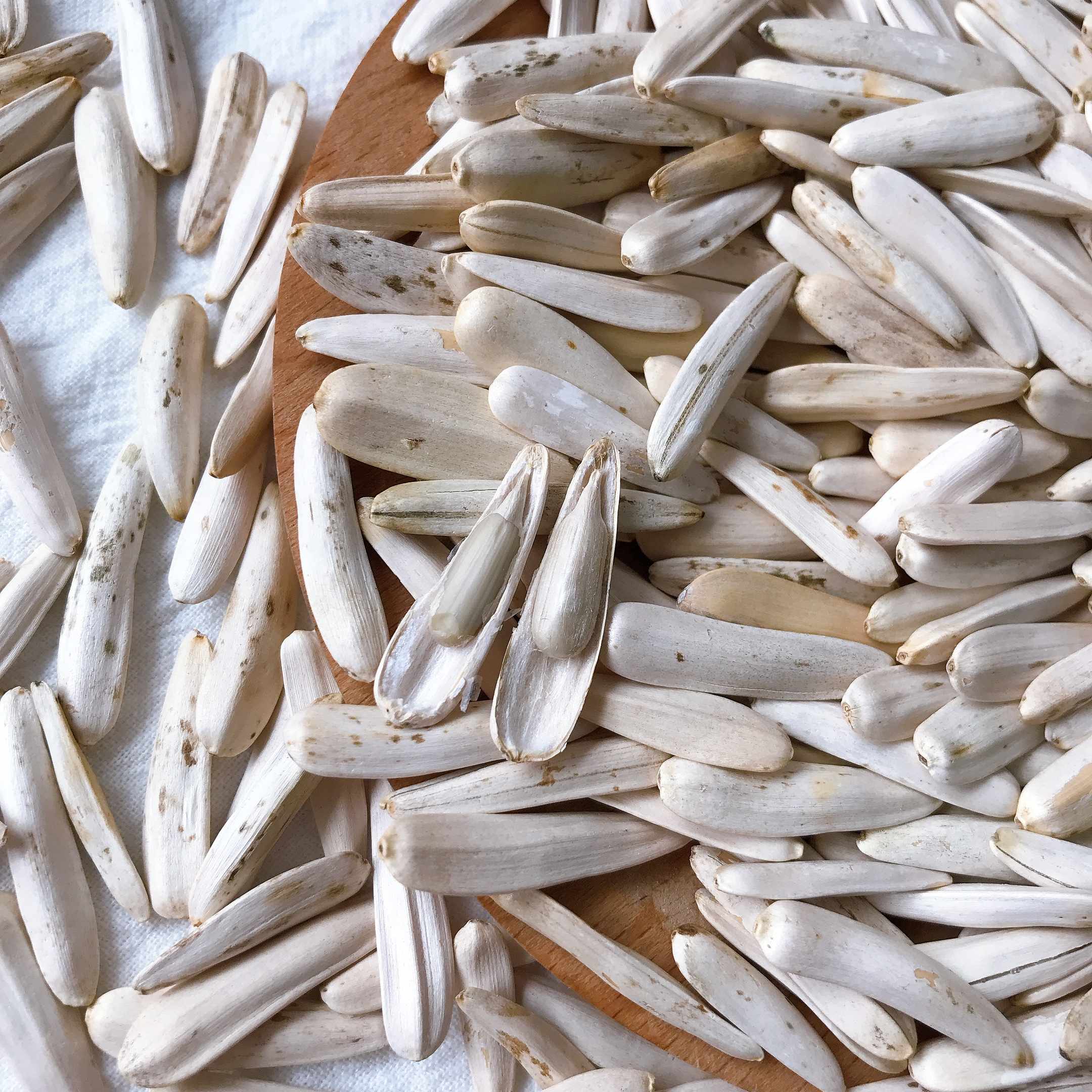 新疆象牙瓜子 505g/箱(21包/箱)