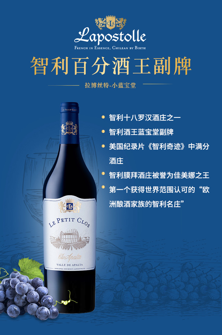 智利十八罗汉 拉博丝特酒庄 小蓝宝堂干红葡萄酒 750ml/瓶