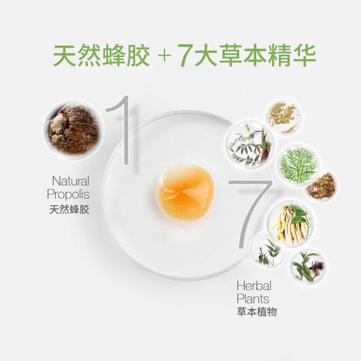 【买1送1，双12特惠！】蜂舒坦蜂胶草本凝胶农科院蜜研所研发专利产品天然蜂胶+7大草本精华20g/一盒 商品图2