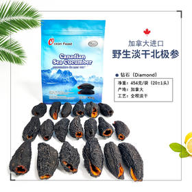 Ocean Feast 北极淡干海参【钻石级20头左右/454g袋装】