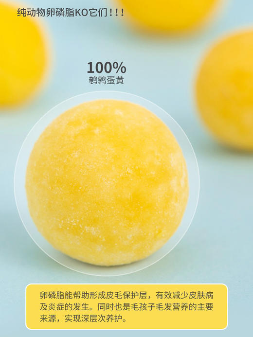 美人喵 犬猫零食 冻干鹌鹑蛋黄50g 商品图3