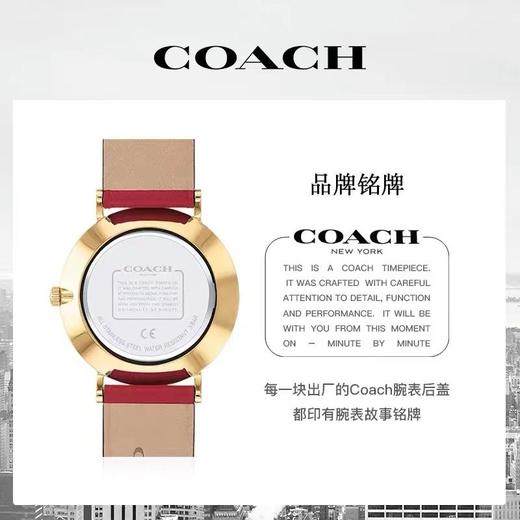 【虎年限定，下单送四叶草项链！】COACH虎年手表蔻驰手表|本命年定制，限量爆款，支持联保，三款可选，圣诞元旦新年 商品图0