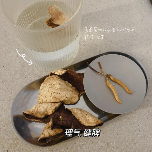 抗疫盾牌 虫草茶 10袋装 商品图6